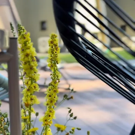 Domasovo Holiday home *