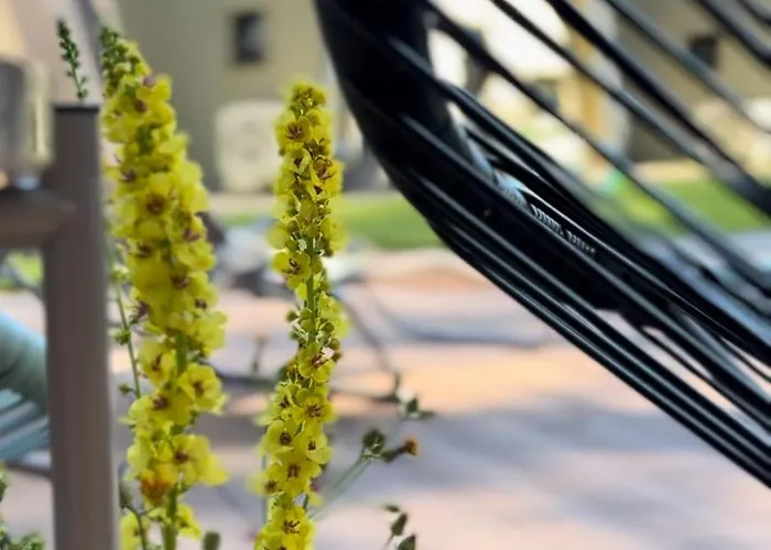 Domasovo Dom wakacyjny *